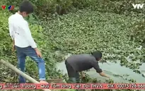 Cuộc sống túng quẫn của gia đình em học sinh nghèo mồ côi cha