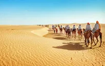 Trung Đông và Bắc Phi sẽ nóng khủng khiếp do biến đổi khí hậu
