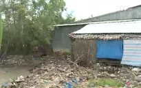 Kiên Giang: Hàng trăm hộ dân vùng sạt lở chờ sự hỗ trợ của chính quyền