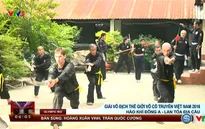 Giải VĐQG võ cổ truyền Việt Nam 2016 - Hào khí Đông A lan tỏa địa cầu
