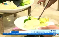 Tìm hiểu điều kiện ăn ở của các VĐV tại ABG5 - 2016