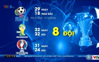 Những con số ấn tượng về AFF Suzuki Cup 2016