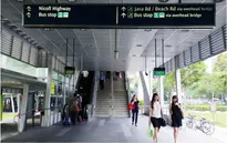 Vì sao người dân Singapore thích sử dụng cầu vượt?