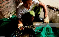 Những hiểm họa từ ngành công nghiệp thời trang da rắn