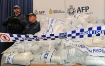Australia: Bắt giữ 154 kg ma túy nhồi trong gỗ khúc