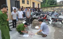 Hải Dương: Triệt phá sới bạc dưới hình thức "đá gà" ăn tiền