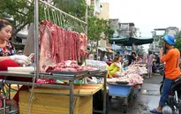 TP.HCM triển khai truy xuất thịt lợn bằng điện thoại di động
