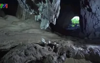 7 đại sứ tại Việt Nam tham gia tour khám phá Sơn Đoòng