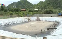 Sơn La: Ô nhiễm môi trường nghiêm trọng do chế biến cà phê