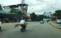 Để gia đình đưa thi thể bệnh nhân về bằng xe máy, bệnh viện bị phê bình