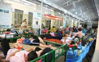 Hơn 9.400 ca mắc sốt xuất huyết tại Khánh Hòa