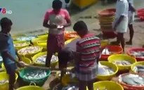 Hải quân Sri Lanka bắt giữ nhiều ngư dân và tàu cá Ấn Độ