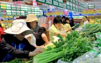 TP.HCM cam kết không tăng giá nhiều mặt hàng dịp Tết