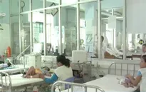 Đề xuất xét nghiệm các bệnh nhân sốt xuất huyết để phát hiện virus Zika