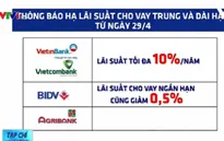 Hỗ trợ vốn vay và lãi suất ưu đãi - Luồng sinh khí mới cho doanh nghiệp Việt