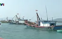 Năm 2015, hơn 30 tàu cá của ngư dân Bình Định bị nước ngoài bắt giữ