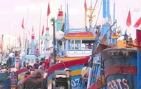 Phú Yên: Tàu cá đóng mới theo Nghị định 67 hoạt động có lãi