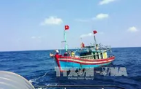Thanh Hóa: Lai dắt tàu cá TH 90321 TS bị nạn vào bờ an toàn