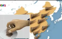 Sừng tê giác đắt hơn kim cương