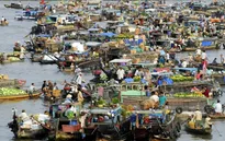 Cần Thơ gia nhập "100 thành phố có khả năng chống chịu"