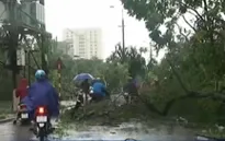 VIDEO: Thái Bình tan hoang sau bão số 1