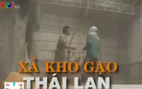 Thái Lan xả kho gạo dự trữ sẽ ảnh hưởng lớn tới XK gạo của Việt Nam