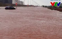 Quỹ Tấm lòng Việt kêu gọi chung tay hỗ trợ đồng bào lũ lụt miền Trung