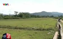 Gia Lai phát hiện một vụ rút ruột công trình gần 1 tỷ đồng