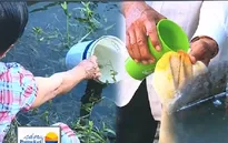 Người dân Long An khổ sở vì thiếu nước sạch