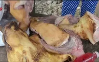 Phát hiện thịt heo rừng bốc mùi hôi thối tại Bình Phước