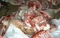 Bình Phước bắt gần 1 tấn thịt bốc mùi hôi thối