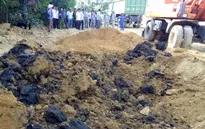 Formosa phải dừng ngay những hạng mục chưa đảm bảo vệ sinh môi trường