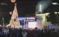 Chiêm ngưỡng cây thông Noel khổng lồ tại Bethlehem