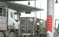 Ùn tắc ở mức nào thì mở cửa trạm thu phí?