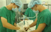 Thụ tinh ống nghiệm miễn phí cho 20 cặp vợ chồng hiếm muộn