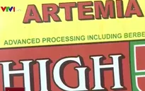 Áp thuế nhập khẩu 3% trứng Artemia: DN phản đối quyết liệt