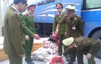 Phát hiện gần 1 tấn thịt chó, mèo và nội tạng bẩn