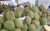 Bác tin đồn Trung Quốc ngừng thu mua sầu riêng