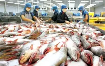 Xuất khẩu thủy sản cán đích 9 tỷ USD