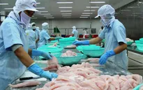 Xuất khẩu thủy sản dự báo lạc quan năm 2017