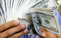 Thế giới bí mật của những đồng tiền giả