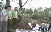 Lâm Đồng: Tiêu hủy 5,5 tấn phân bón giả