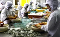 Mỹ tăng gần 5 lần thuế chống bán phá giá lên tôm Việt Nam