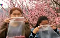 Giới trẻ Trung Quốc lên núi mua túi nilon đựng "không khí sạch"
