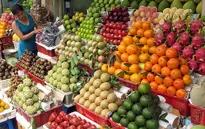 Trái cây tăng giá vẫn không đủ hàng xuất khẩu