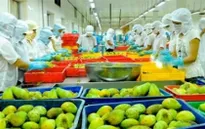 Trái cây xuất khẩu - động lực mới của nông nghiệp