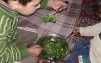 Các nước yêu cầu sơ tán 400 người dân tại Madaya, Syria