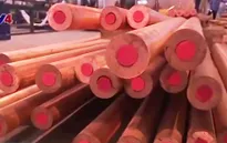 Khó thực thi bảo hộ sở hữu trí tuệ trong EVFTA