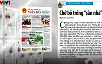 Kỳ vọng TPP, chớ nên bỏ trống "sân nhà"