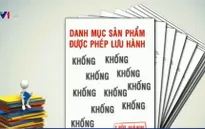 Vụ 800 giấy phép thủy sản khống: Vì sao doanh nghiệp vi phạm không bị xử lý?